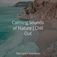 Calming Sounds of Nature | Chill Out