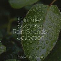 Summer Soothing Rain Sounds Collection