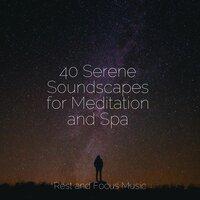 40 Serene Soundscapes for Meditation and Spa