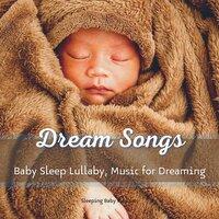 Sleeping Baby Playlists