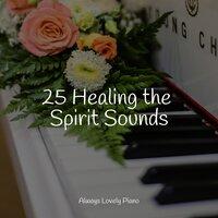 25 Healing the Spirit Sounds