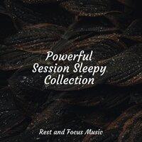 Powerful Session Sleepy Collection
