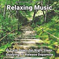 #01 Relaxing Music to Calm Down, for Night Sleep, Studying, to Release Dopamine