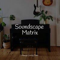 Soundscape Matrix