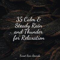 35 Calm & Steady Rain and Thunder for Relaxation