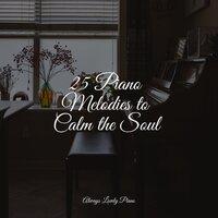 25 Piano Melodies to Calm the Soul