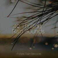 40 Thrilling Rain Sounds