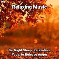 #01 Relaxing Music for Night Sleep, Relaxation, Yoga, to Release Anger