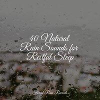 40 Natural Rain Sounds for Restful Sleep