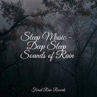 Sleep Music - Deep Sleep Sounds of Rain