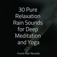 30 Pure Relaxation Rain Sounds for Deep Meditation and Yoga