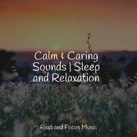 Calm & Caring Sounds | Sleep and Relaxation