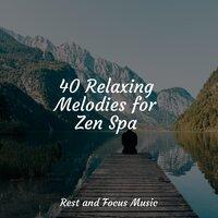 40 Relaxing Melodies for Zen Spa