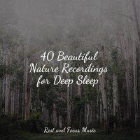 40 Beautiful Nature Recordings for Deep Sleep