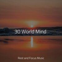 30 World Mind
