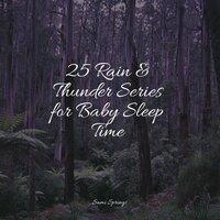 25 Rain & Thunder Series for Baby Sleep Time