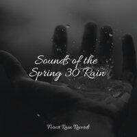 Sounds of the Spring 30 Rain