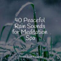 40 Peaceful Rain Sounds for Meditation Spa