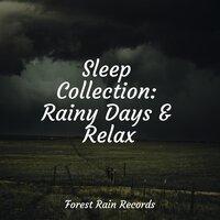 Sleep Collection: Rainy Days & Relax