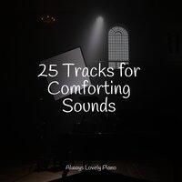 25 Tracks for Comforting Sounds