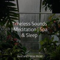 Timeless Sounds | Meditation | Spa & Sleep