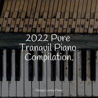 2022 Pure Tranquil Piano Compilation.