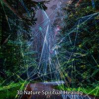 !!!! 30 Природа Духовное Исцеление!!!!