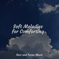 Soft Melodies for Comforting