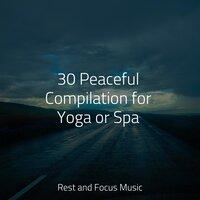 30 Peaceful Compilation for Yoga or Spa