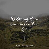 40 Spring Rain Sounds for Zen Spa