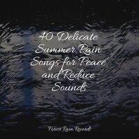40 Delicate Summer Rain Songs for Peace and Reduce Sounds