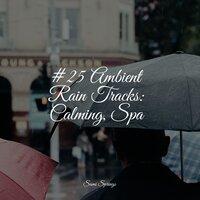 #25 Ambient Rain Tracks: Calming, Spa