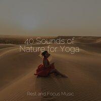 40 Sounds of Nature for Yoga