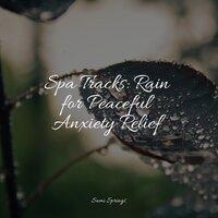 Spa Tracks: Rain for Peaceful Anxiety Relief