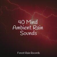 40 Mind Ambient Rain Sounds