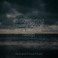40 Comforting Lovely Songs for a Restful Sleep