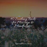 40 Soothing Tracks for Massage & Mindfulness