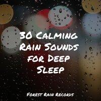30 Calming Rain Sounds for Deep Sleep