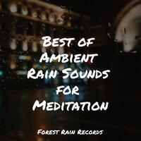 Best of Ambient Rain Sounds for Meditation