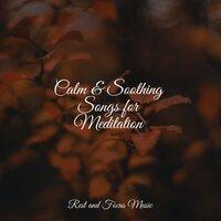 Calm & Soothing Songs for Meditation