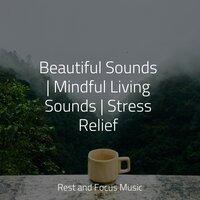 Beautiful Sounds | Mindful Living Sounds | Stress Relief