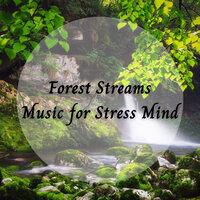 Forest Streams Music for Stress Mind