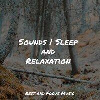 Sounds | Sleep and Relaxation