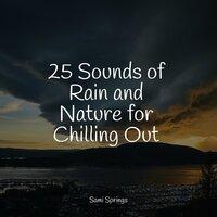 25 Sounds of Rain and Nature for Chilling Out