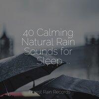 40 Calming Natural Rain Sounds for Sleep
