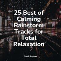 25 Best of Calming Rainstorm Tracks for Total Relaxation