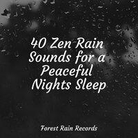 40 Zen Rain Sounds for a Peaceful Nights Sleep