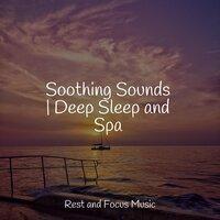 Soothing Sounds | Deep Sleep and Spa