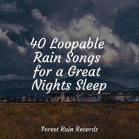 40 Loopable Rain Songs for a Great Nights Sleep