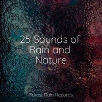25 Sounds of Rain and Nature